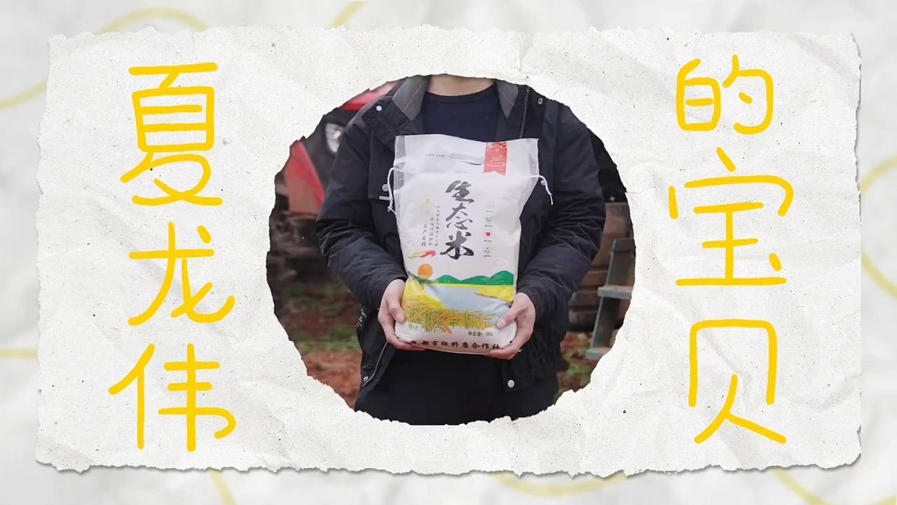 我们和我们的宝贝 cover