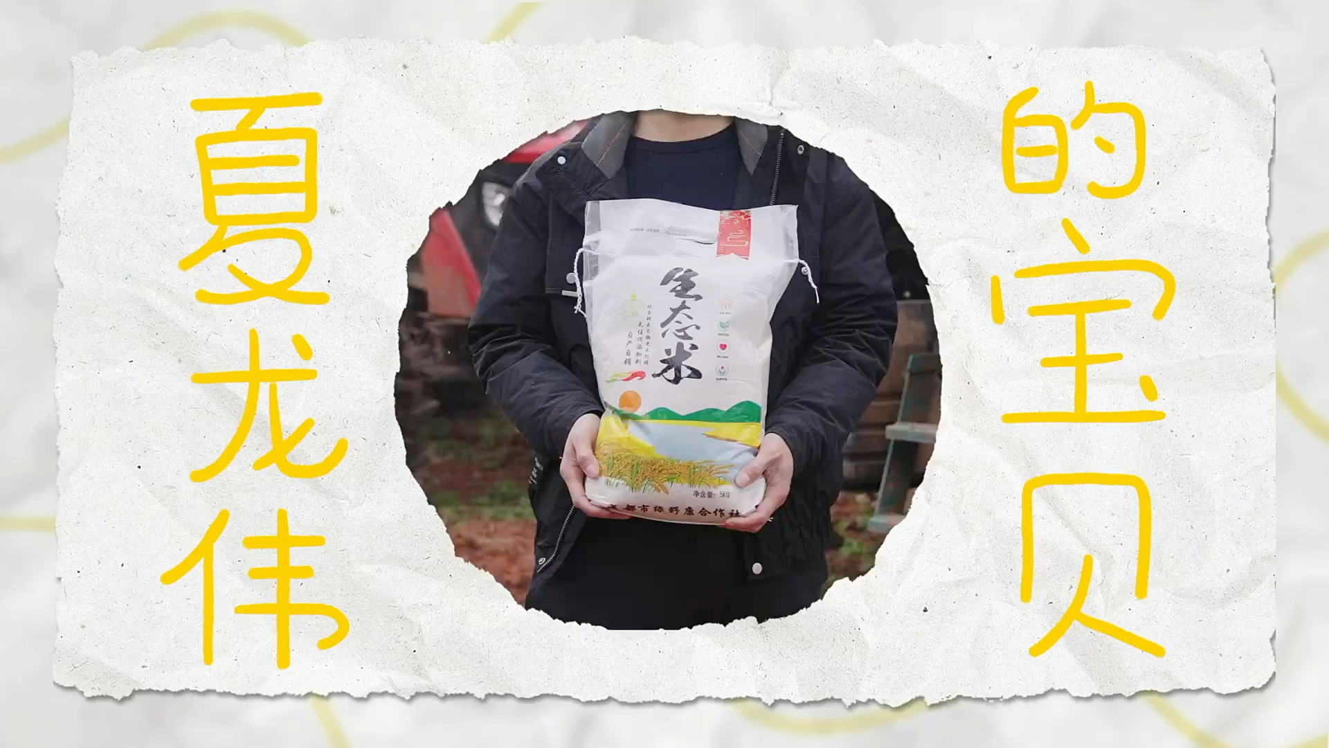 我们和我们的宝贝 cover